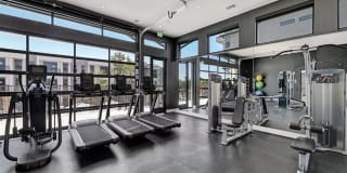 The Saint Mary The Saint Mary Gallery 29