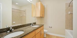 COLE COLE Gallery 35