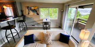 Furnished 2 bedroom Condo with view of Lake Union Gallery 6