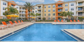 RIZE at Winter Springs Gallery 5