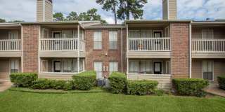 Pine Hills Gallery 25