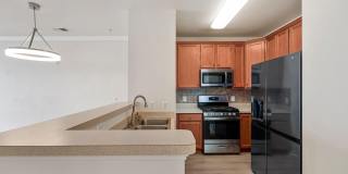 3810 LIGHTFOOT Street unit: 308 Gallery 1