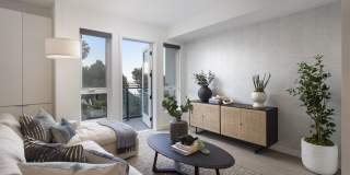 Vivo on Harbor Gallery 14