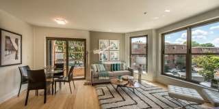 Amazing apartment in Allston Gallery 4