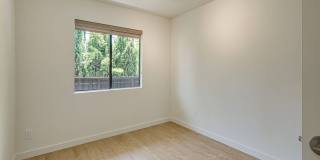 297 Gallery 12
