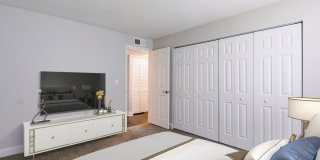 Silver Palms Gallery 5