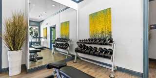 Olympus Fenwick Gallery 32