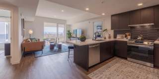 Ardence & Bloom Ardence & Bloom Gallery 5