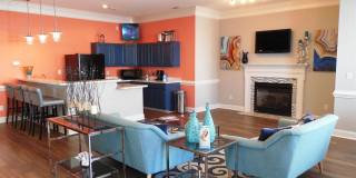 Summer Chase Gallery 5