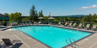 Arbor Heights Gallery 24