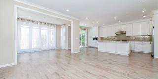65 Island Coral Gallery 2