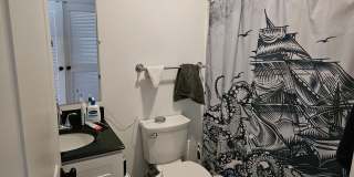 Beautiful 5 bed penthouse unit in lower Allston available 9/1/26 Gallery 19