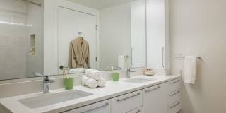 The Ivey on Boren The Ivey on Boren Gallery 54