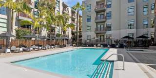 Arrive Hollywood Arrive Hollywood Gallery 40