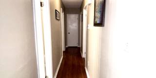 2019 Bradley Avenue Gallery 7