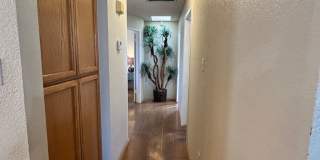Charming 3-Bedroom Home with Wood Flooring and Large Yard in Yuma Gallery 13