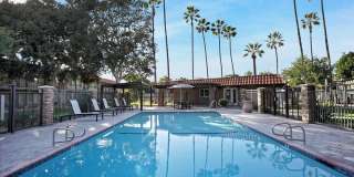 Tierra Palms Gallery 89