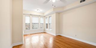 4934 S. King Drive #2 Gallery 4