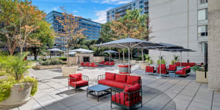 Crystal Plaza Apartments Gallery 12