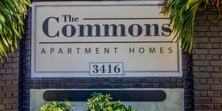 The Commons Gallery 17