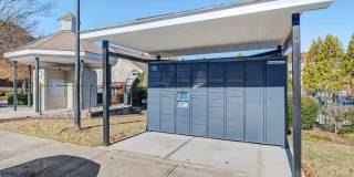 Ashford at Springlake Gallery 21