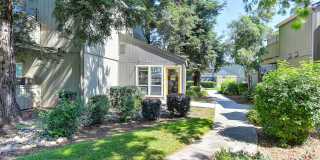 The Redwoods Apartments Gallery 22