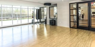 Lex and Leo at Waterfront Station Gallery 8