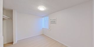 University Manor - Newly Renovated Units just a short walk from Campus! Gallery 165