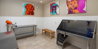 Ardmore & 28th Gallery 15