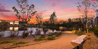 The Residences at Sakura Novi Gallery 57
