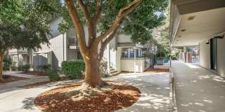Creekside Gallery 10