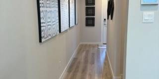 1206 Amistad Loop Gallery 3