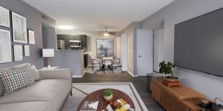 Forest View Gallery 1