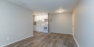 Lakewood Pointe Gallery 17