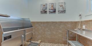 The Brazos Gallery 57