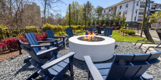 Arlow at Blue Ridge Gallery 49