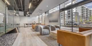 The DeWitt Gallery 26