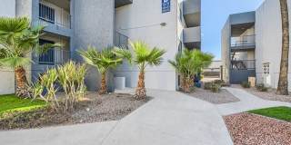 Rise Dobson Ranch Gallery 50