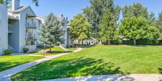 Rosewood Apartments Gallery 40