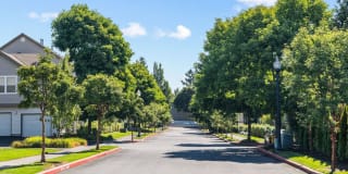 Sterling Heights Gallery 27