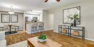 Meadow Lakes Gallery 8