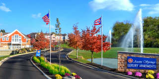 Austin Springs Gallery 4