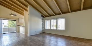 Baywind Gallery 3