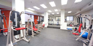 The Carling Apartments Gallery 13