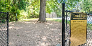 Laurel Ridge Gallery 20