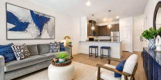 Palladium San Antonio Gallery 1