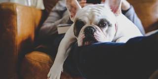 Glen Ridge Gallery 19