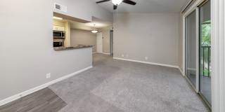 The View at Waters Edge Gallery 56