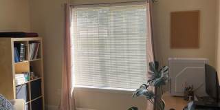 Available 06/24/2026 Gallery 33