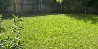 3216 Claymore Street Gallery 16